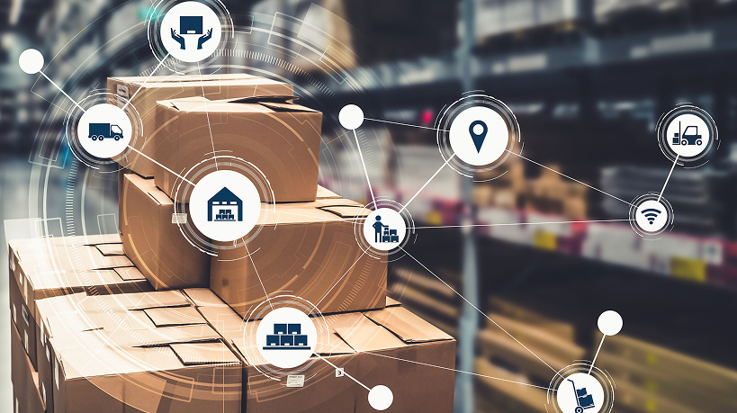 Resource Management and Project Governance