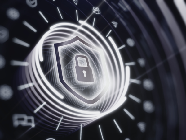 Ensuring Security with Self Service Portals